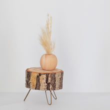 Load image into Gallery viewer, Pampas Grass