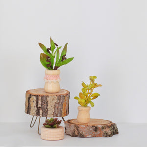 Plant Mama (surprise bundle)