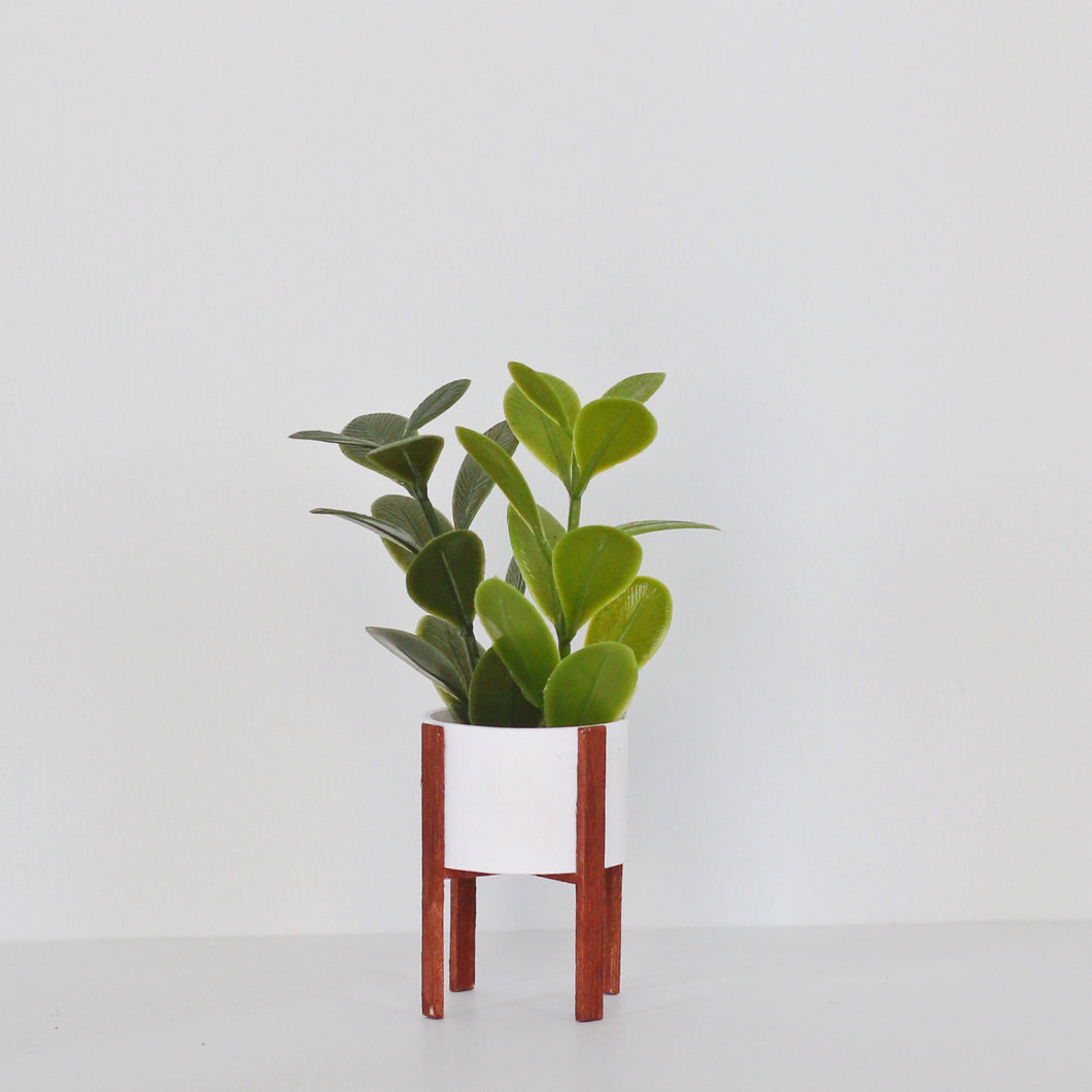 Fiddle Leaf