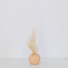 Load image into Gallery viewer, Pampas Grass