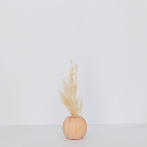 Pampas Grass